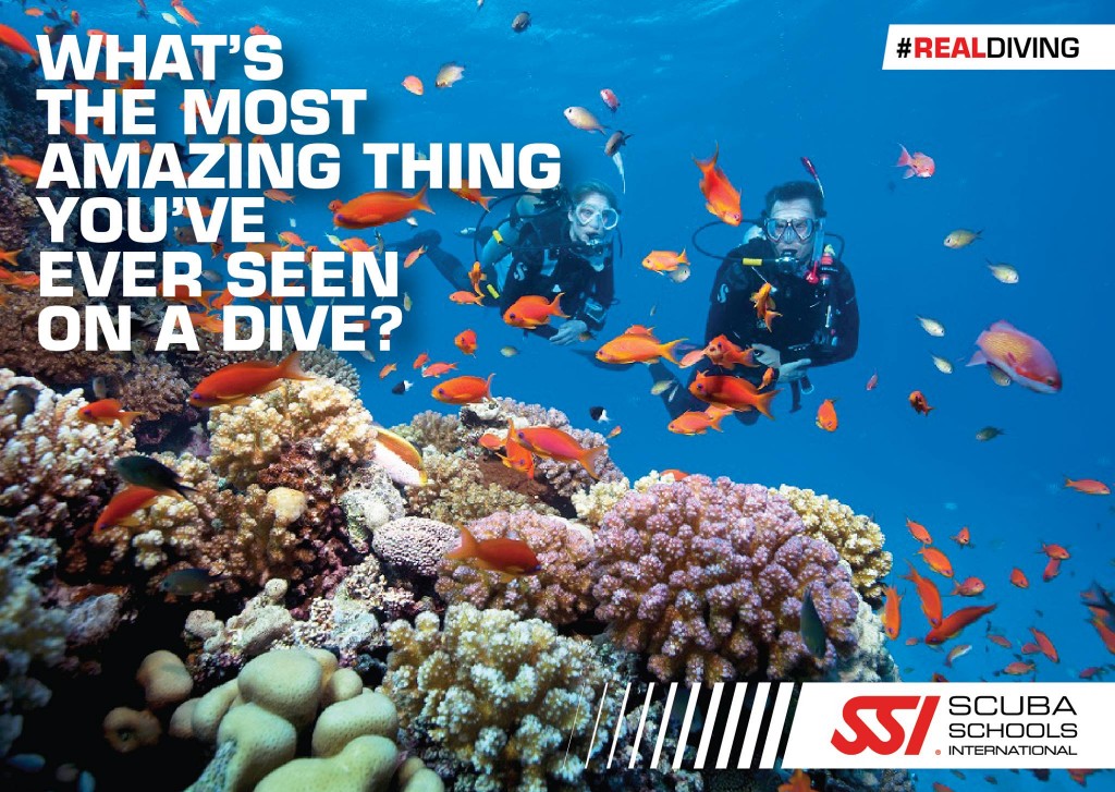 10854359_856302687745724_5147637174981465902_o