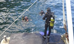 11101389_786268284804804_994740480069183244_o