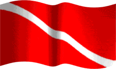 diving_flag_animated